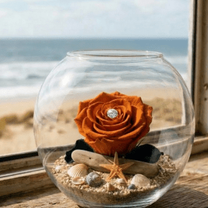 La rose éternelle orange