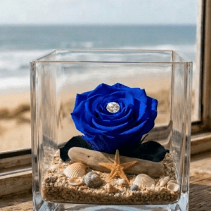 La rose éternelle bleue foncée