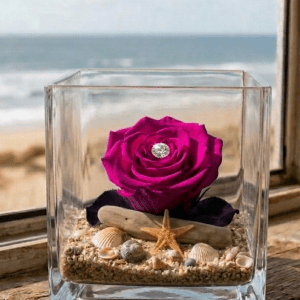 La rose éternelle rose