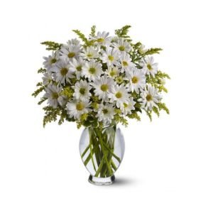 La marguerite