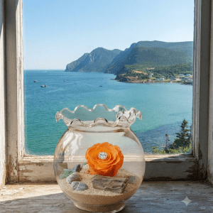 rose éternelle orange vase baraque
